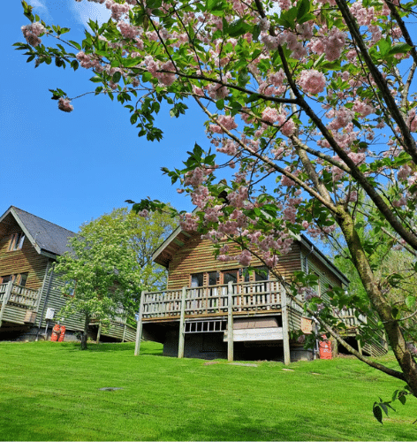 Flowery Dell Lodges with Cherry blossom tree in front